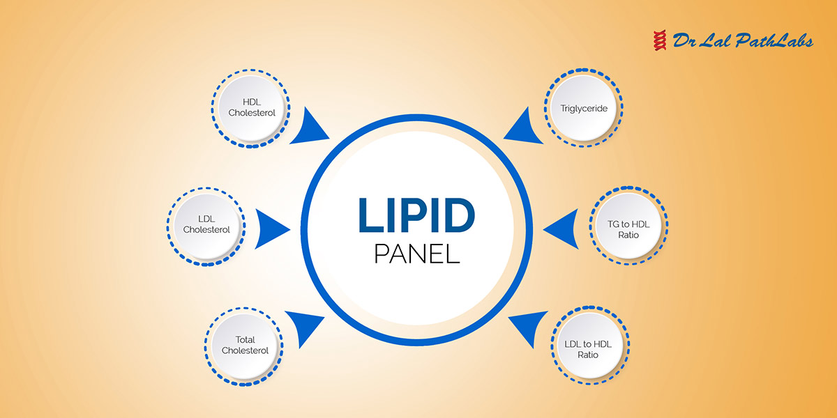 Lipid Profile (Lipid Panel)